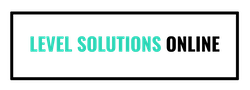 Level Solutions Online INC