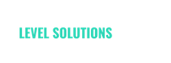 Level Solutions Online INC